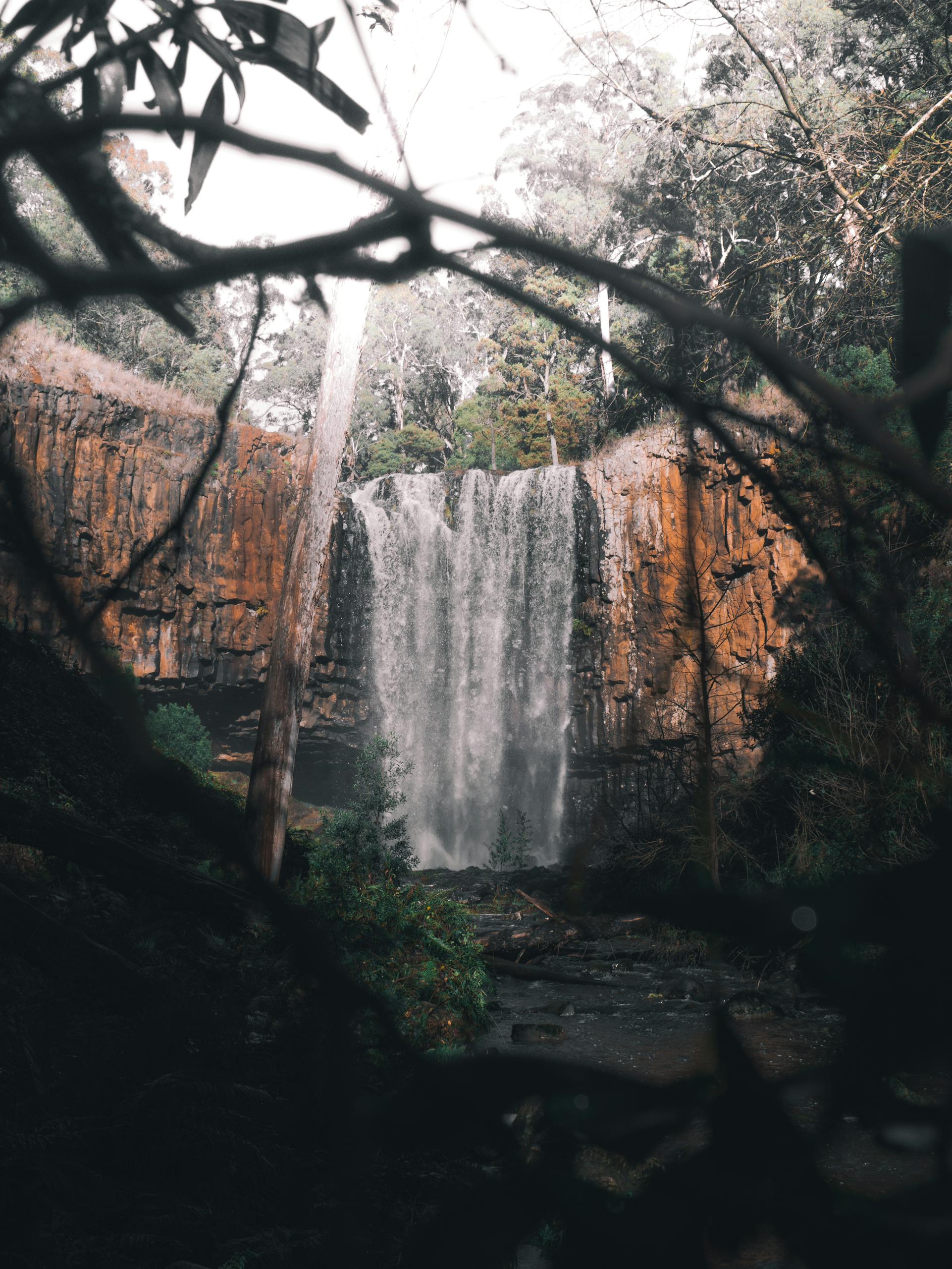 A stunning view of Trentham Falls cascading through lush greenery in Victoria, Australia.